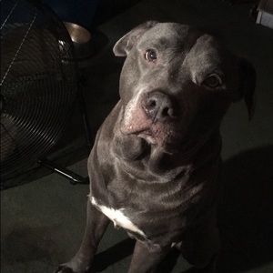 Meet your Posher, Aj